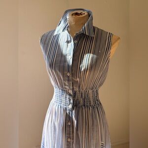 Philosophy Blue and White Striped Dress